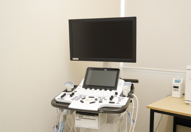 超音波検査（エコー）装置